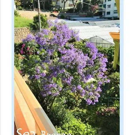 Casa Mia 公寓 圣雷默